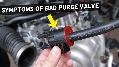 5 Signs of a Bad Vapor Canister Purge Valve